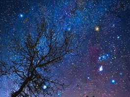 Prem Byrne Orion